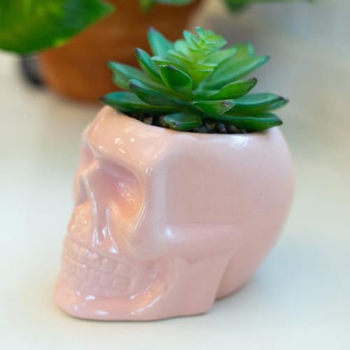 These Sugar Skull Succulents Are Perfect For Halloween Or Year-Round