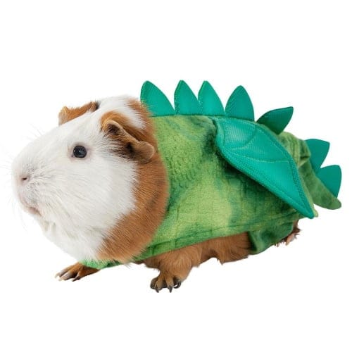 PetSmart Is Selling Halloween Costumes For Guinea Pigs And They’re So Cute