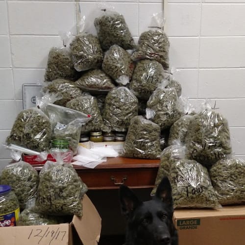 Elderly Couple Arrested With 60 Pounds Of Marijuana They Claimed Was For Christmas Presents