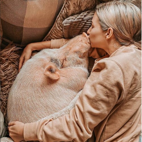 Woman Lives With 175 Pound Pig And Treats Him Like Her Child