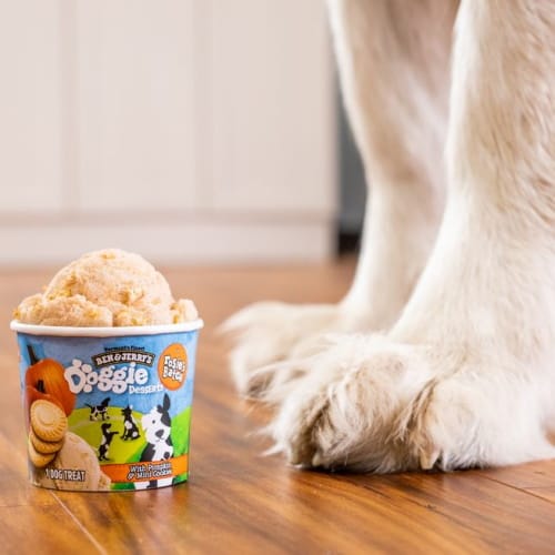 Ben & Jerry’s Is Releasing A Range Of Ice Creams That Are Safe For Dogs To Eat
