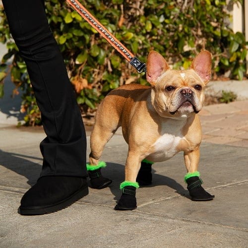 UGG Is Now Making Boots For Your Dog To Keep Their Paws Warm And Dry