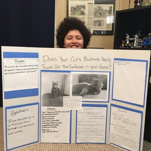 6th Grader’s Science Fair Experiment Finds Out How Many Surfaces Cat Butts Actually Touch