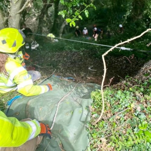 Meowing Cat Helps Rescuers Locate 83-Year-Old Woman Who Fell Down Ravine