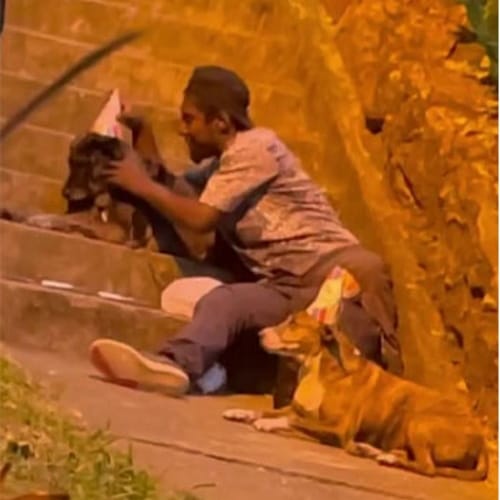 Homeless Man’s Life Changes Completely After His Birthday Party For Dog Is Caught On Video