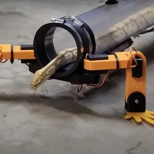 Man Invents Robot Suit That Lets Snakes Walk With Legs