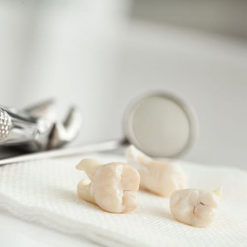 Scientists Develop New Drug That Can Regrow Human Teeth In Those Who Have Lost Them