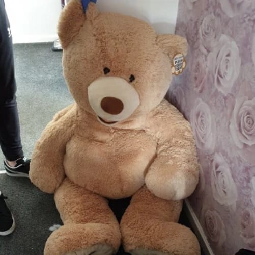 Car Thief Caught Hiding From Police Inside Giant Teddy Bear