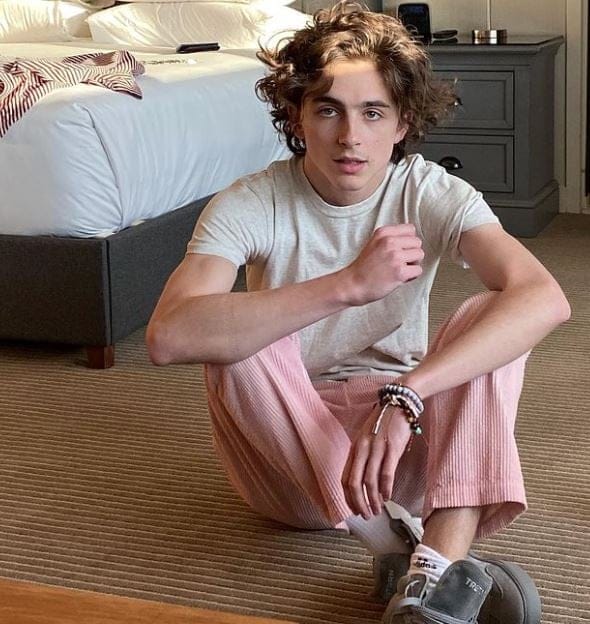 Who Is Timothee Chalamet Dating?
