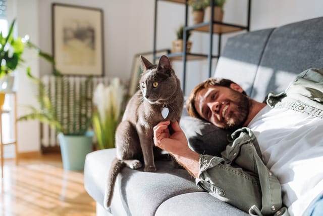 millennial guy cuddling with cat on couch