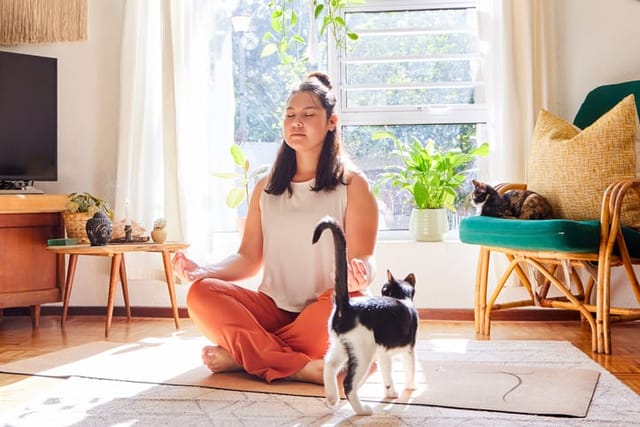 woman meditating with cat nearby
