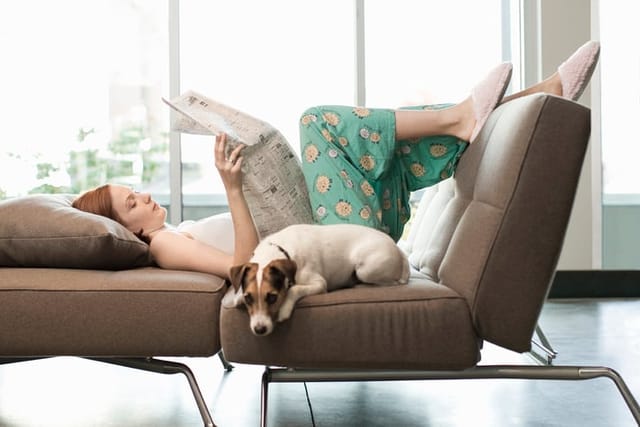 woman reading on couch with dog
