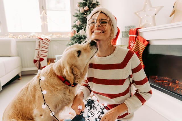 woman and dog celebrating christmas