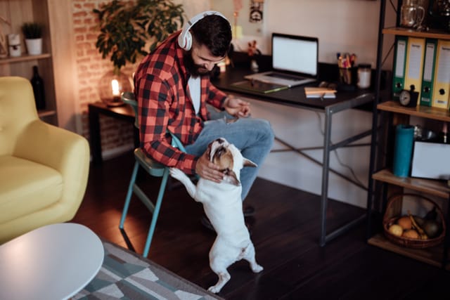 guy petting dog while working from home