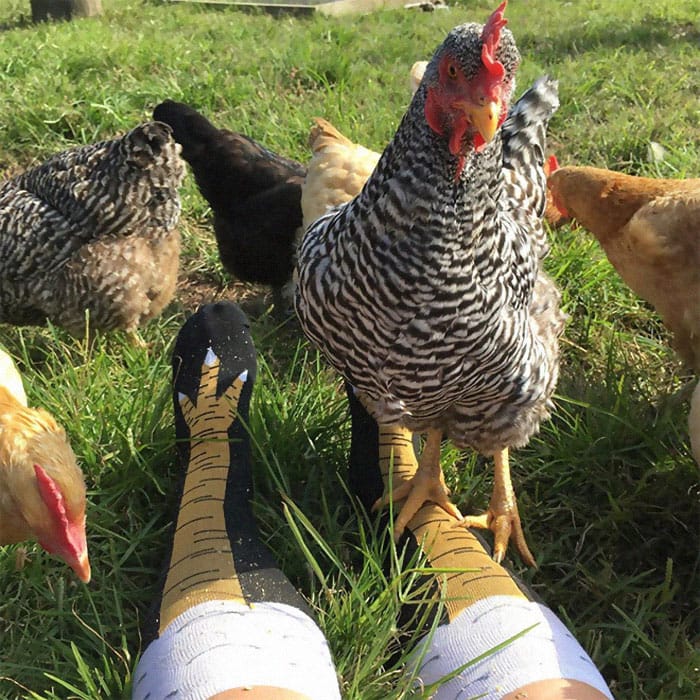 These Chicken Leg Socks Will Make You Look Clucking Hilarious—Get It?