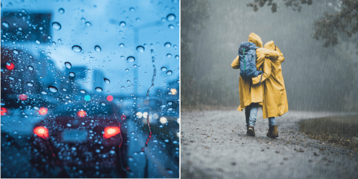 Scientists Confirm Some People Really Can Smell When Rain Is Coming