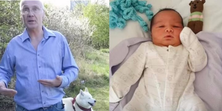 Hero Husky Finds Abandoned Baby In Local Park