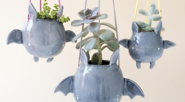 bat succulent planter