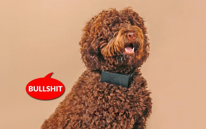 cuss collar