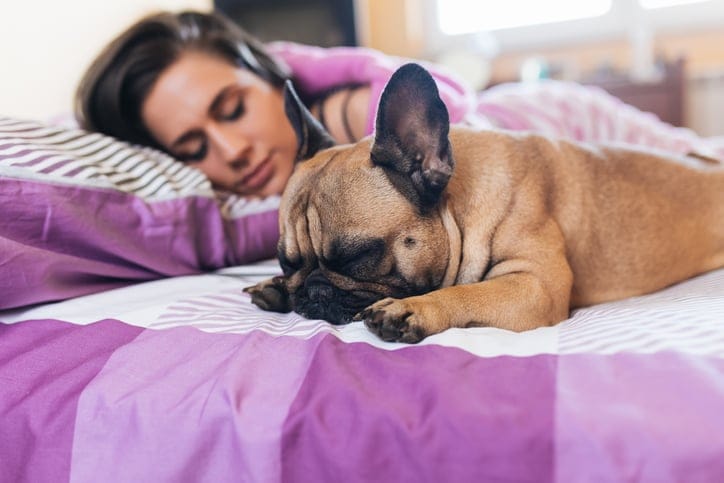 Sleeping With Your Dog Is Better Than Sleeping With A Guy, Science Says