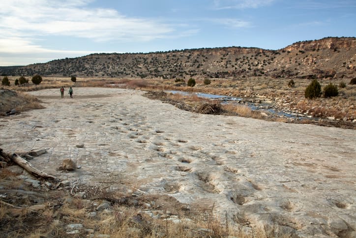 113 Million-Year-Old Dinosaur Tracks Revealed After Severe Drought