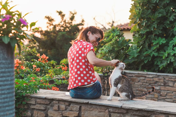 I Dumped My Fiance For A Cat & I’ve Never Been Happier