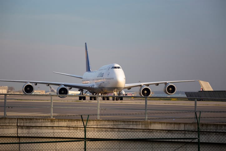 Plane Forced To Return To JFK Airport After Horse On Board Gets Loose