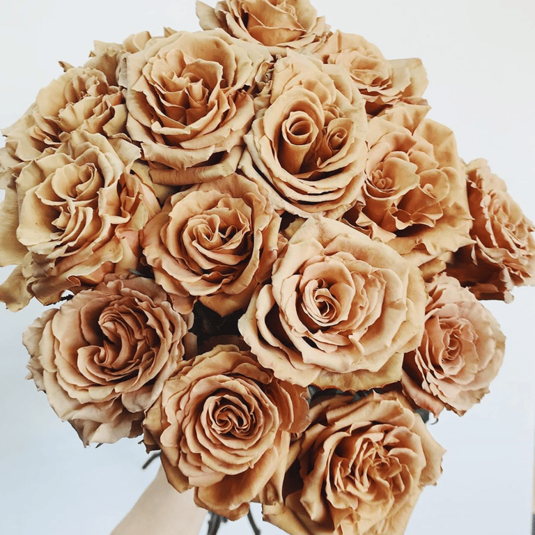 ‘Toffee’ Roses Exist And Brown Flowers Have Never Been So Beautiful