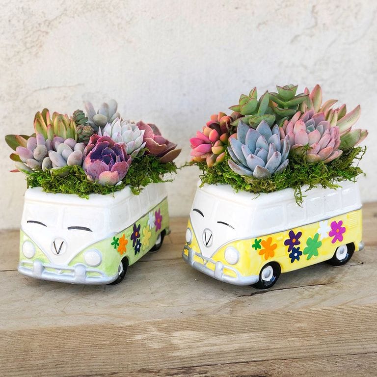 These Volkswagen Bus Succulent Planters Are Hippie Heaven For Your Garden