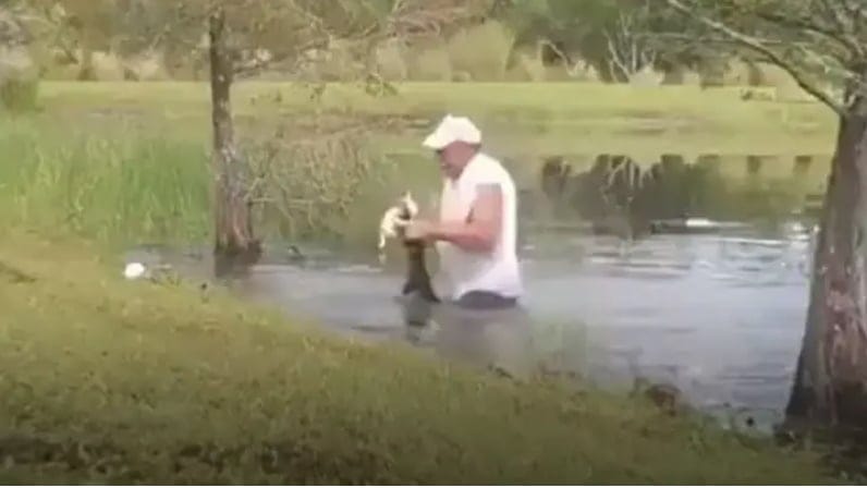 Florida Man Jumps Into Water To Rescue Dog After It’s Grabbed By Alligator