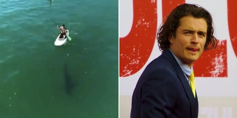Orlando Bloom Encounters Great White Shark While Paddleboarding