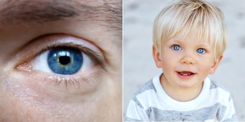 Fun Fact: Every Person With Blue Eyes Descended From The Exact Same Person