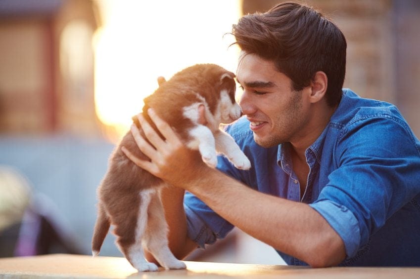 Why Dog Lovers Make The Best Boyfriends, Hands Down