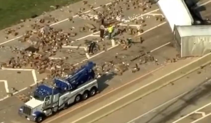 Dildos And Lube Spill Onto US Highway After Truck Crash