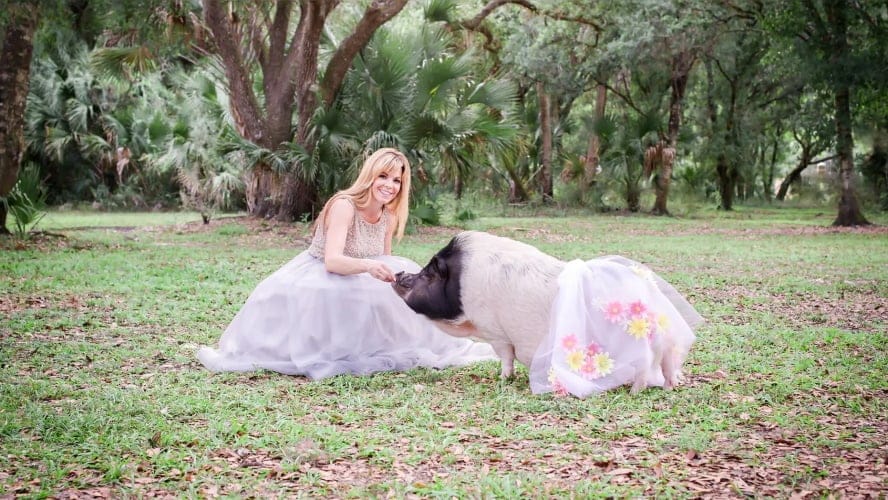 Florida Woman Launches Pig Clothing Company After Her Pig Outgrows Dog Outfits