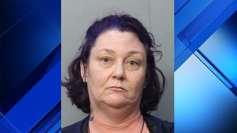 Florida Woman Kicks Cop In Groin After Trying To Set Car On Fire