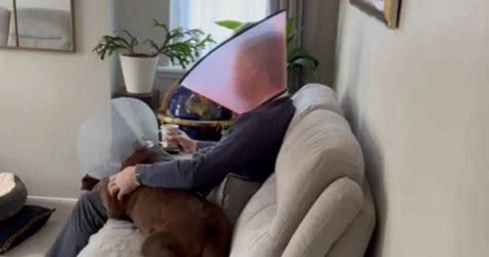 Devoted Dog Dad Wears ‘Cone Of Shame’ To Make Pup Feel Better While Recovering From Surgery