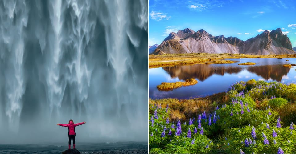 iceland scream