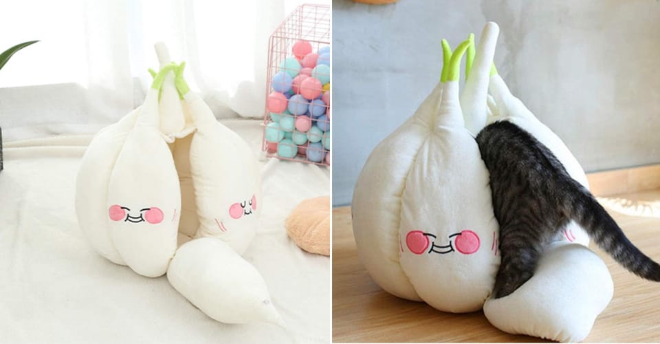 garlic cat bed