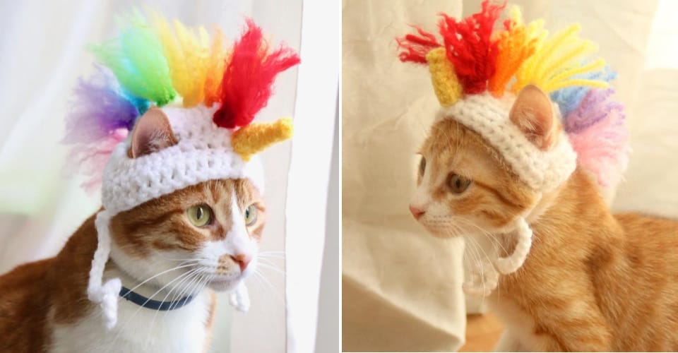 crochet unicorn hat cats