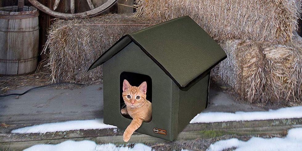 Keep Your Outdoor Kitty Warm This Winter With This Heated Cat House