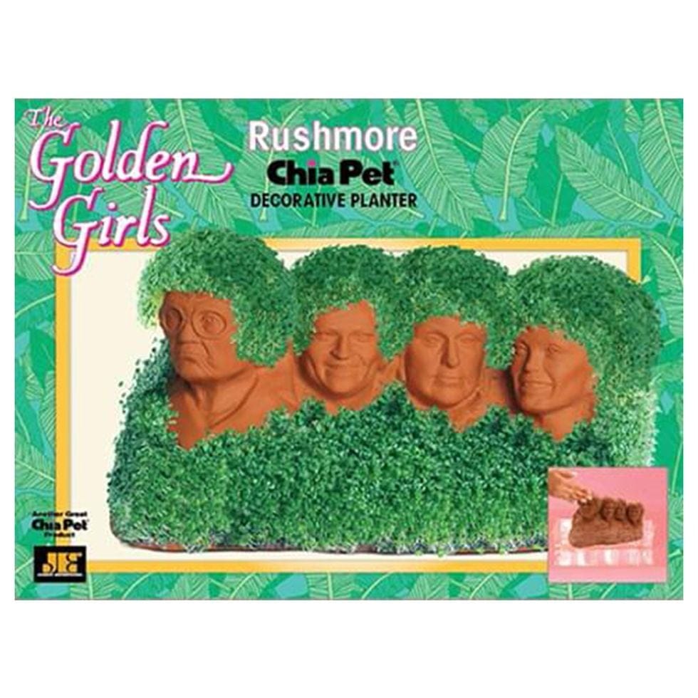 The ‘Golden Girls’ Chia Pet Has Rose, Sophia, Dorothy, And Blanche On Mount Rushmore
