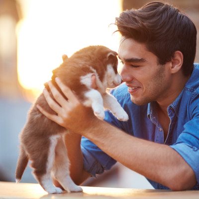 Why Dog Lovers Make The Best Boyfriends, Hands Down
