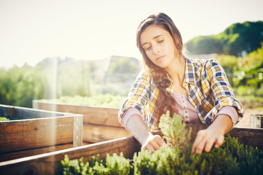 Woman pulling herbs on a farm.