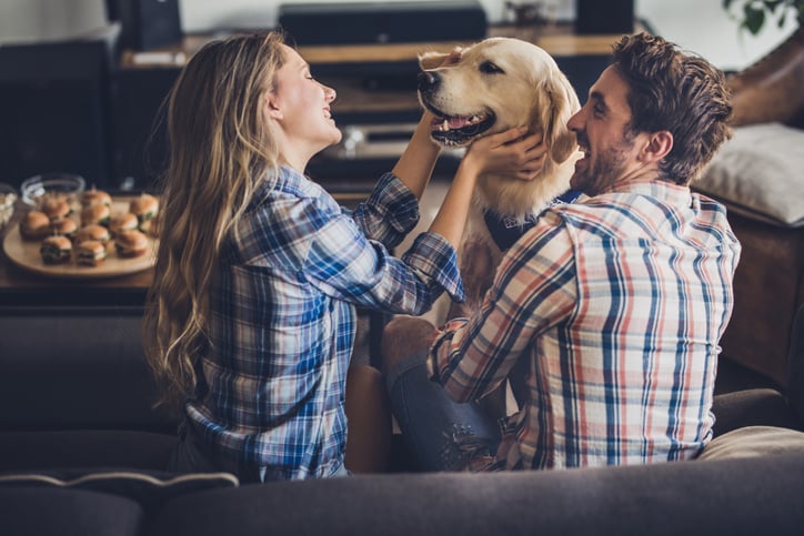 I Used Dog Training Techniques On My Boyfriend & It Totally Worked