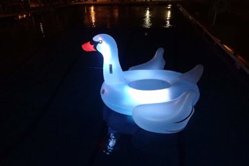 This Light-Up Swan Pool Float Will Take Your Pool Parties To The Next Level