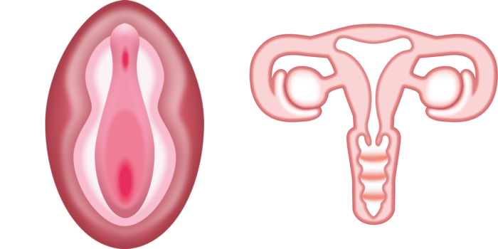 Smiley vagina Labiaplasty /