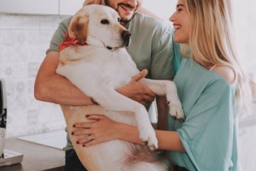 Having A Dog With Your Partner Makes Your Relationship Stronger, Science Says