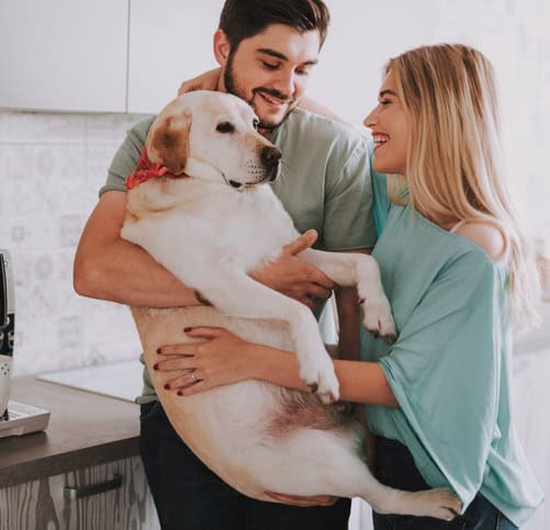 dog happy relationship
