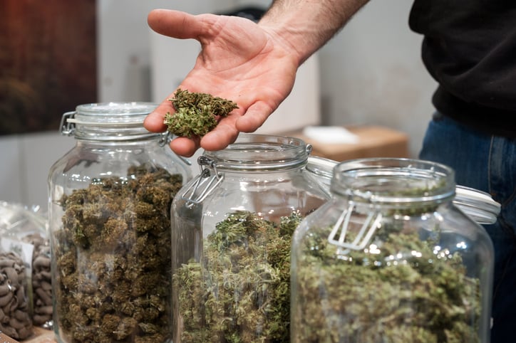 A Marijuana Company Wants To Pay You $36,000 A Year To Smoke Weed Every Day
